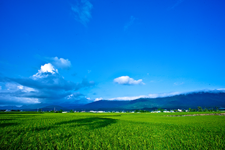 田園風光‧四季美好